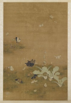 Cabbages and Butterflies