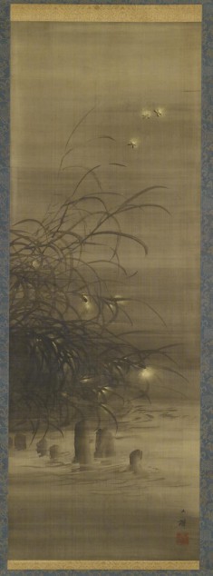 Fireflies Among Reeds