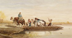 Ferry Horses