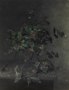 Vase of Wild Flowers