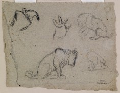 Sketches of a Lion