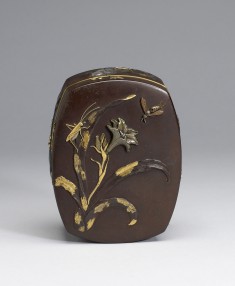 Box with Tiger Lily and Insects