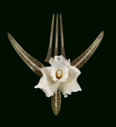 Orchid Comb