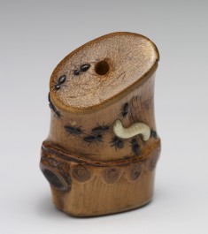 Bamboo Section with Ants and a Worm