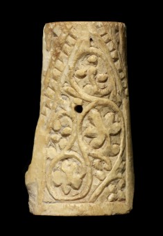Vine Motif