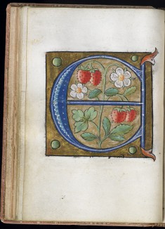 Leaf from Alphabet Book