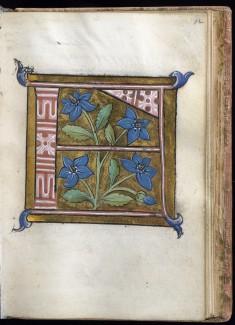 Leaf from Alphabet Book