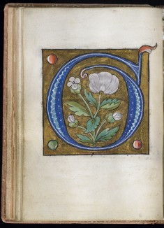 Leaf from Alphabet Book