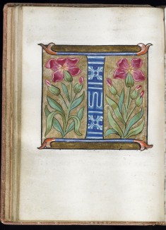 Leaf from Alphabet Book