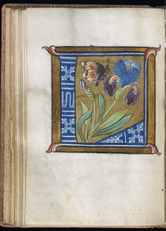 Illuminated Initial L