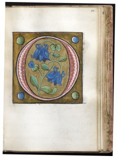 Leaf from Alphabet Book