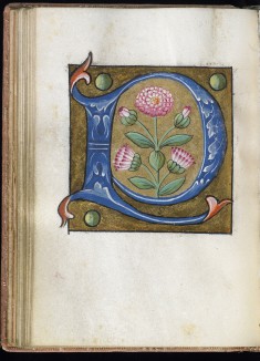Leaf from Alphabet Book