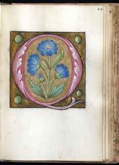 Leaf from Alphabet Book