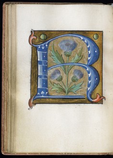 Leaf from Alphabet Book