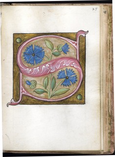Leaf from Alphabet Book