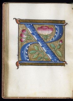 Leaf from Alphabet Book