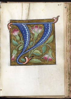Leaf from Alphabet Book