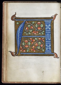 Leaf from Alphabet Book