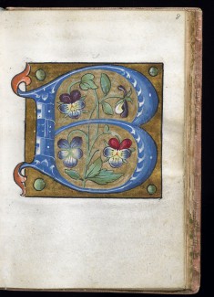 Leaf from Alphabet Book