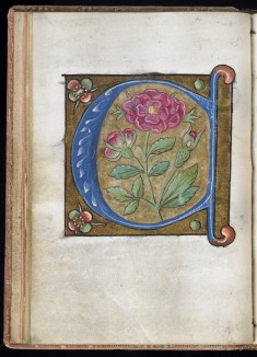 Leaf from Alphabet Book