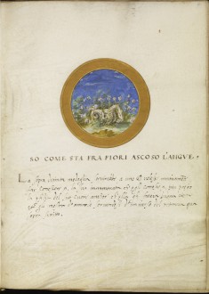 Leaf from Emblem Book