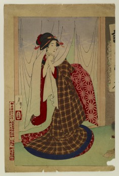 Woman Going Through Noren Curtains