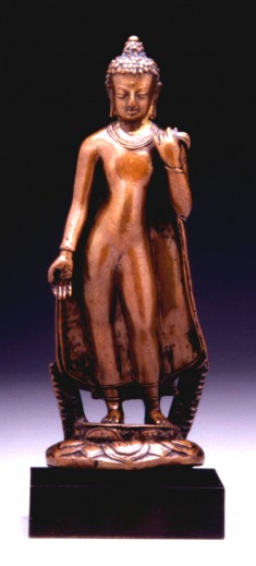 Buddha Shakyamuni