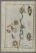 Thumbnail: Map of the Italian Coast Between Termoli and Peschici