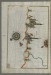 Thumbnail: Map of the Italian Coastline From Barletta to Trani