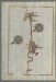 Thumbnail: Map of the Italian Coast From Trani as Far as Molfetta