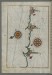 Thumbnail: Map of the Town of Bari and the Surrounding Area