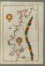 Thumbnail: Map of the Coast of Andalusia from Valencia to Cartagena