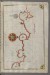 Thumbnail: Map of the Libyan Coast as Far as Salum