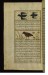 Thumbnail: Two Bats and a Francolin (a Kind of Partridge)