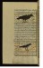 Thumbnail: An Eagle and a Magpie