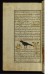 Thumbnail: A Raven
