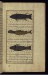 Thumbnail: Three Types of Fish from Around Vaynah (Vinah?) Island