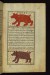 Thumbnail: Ursa Minor and Ursa Major