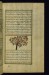 Thumbnail: A Citron Tree