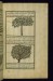 Thumbnail: An Acacia Tree and a Turpentine Tree