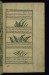 Thumbnail: Mace, a Thorny Plant Called Haj, and Thyme