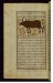 Thumbnail: A Cow or a Bull