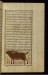 Thumbnail: A Wild Cow or Bull