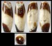Thumbnail: Barrel-Shaped Cylinder Seal
