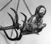 Sculptural Items