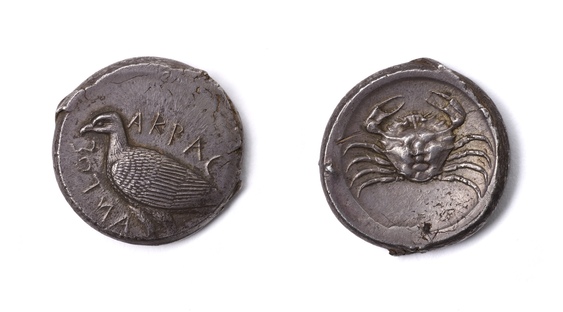 Tetradrachm of Akragas The Walters Art Museum