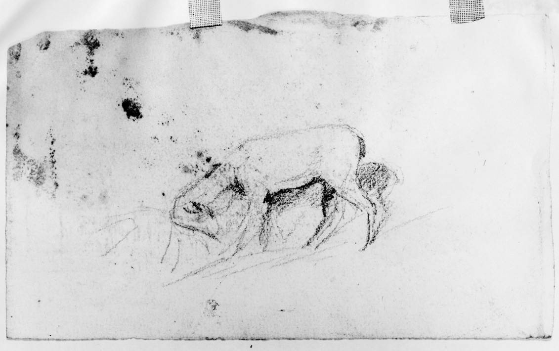 Bending Stag The Walters Art Museum