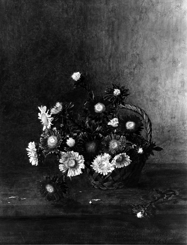 Image for Basket of Oxeye Daisies