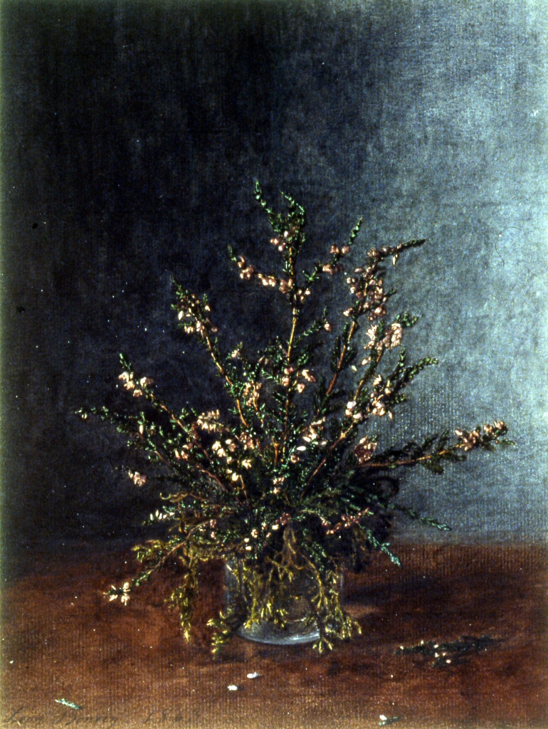 Image for Vase of Heather