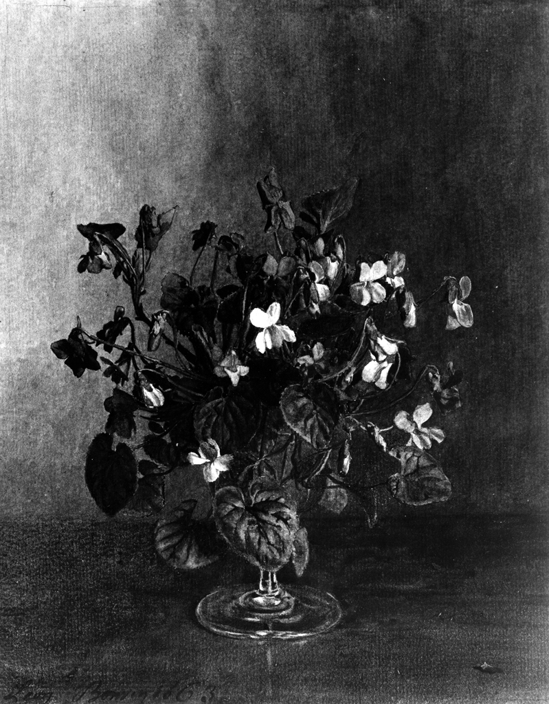 Image for Bouquet of Violets